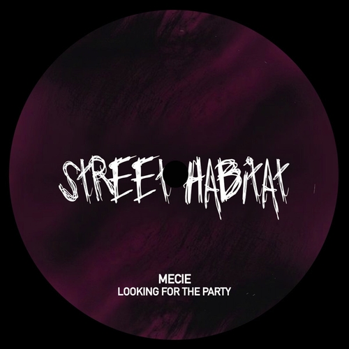 Mecie - Looking For The Party [STH208]